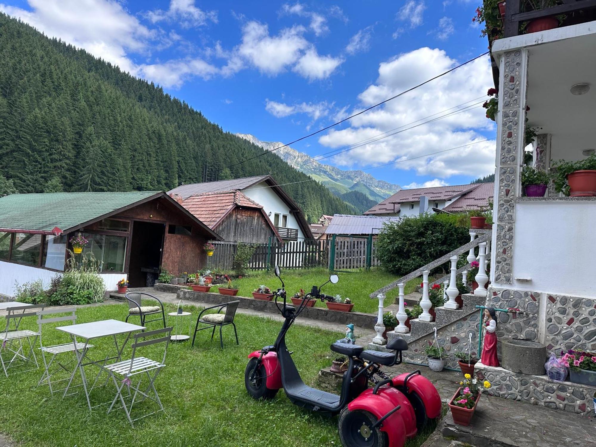 Pensiunea Rodica Moeciu De Sus Exterior foto